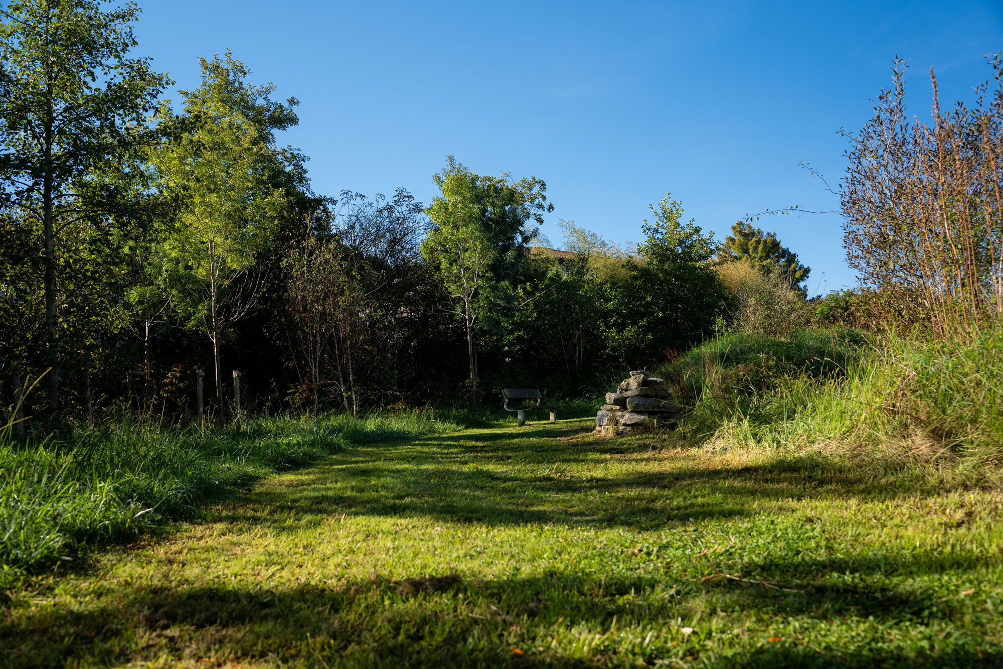 Aire de biodiversité de Lamouly - photo 2