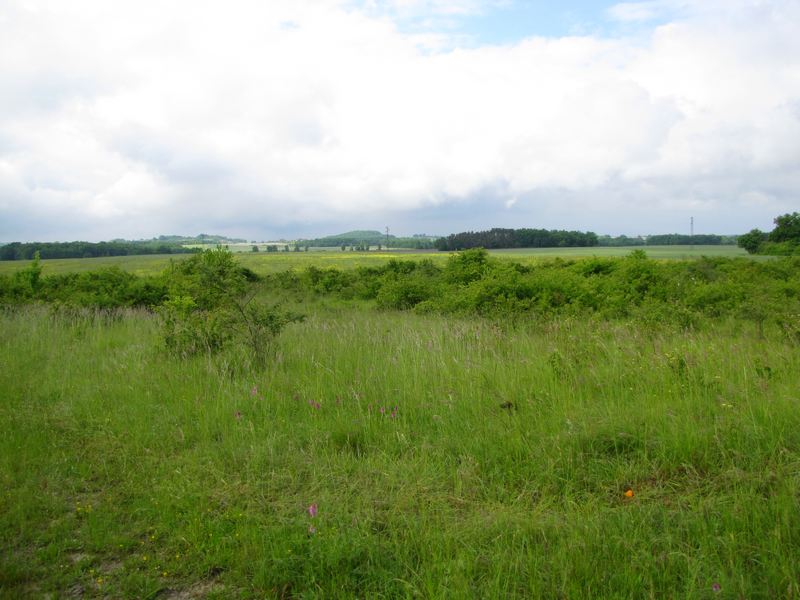 Plateau de Faux-Issigeac, Issigeac - photo 8