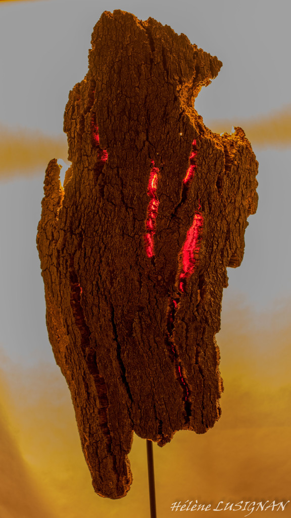 Hélène LUSIGNAN - Sculpteur sur Bois & Résine — photo 3