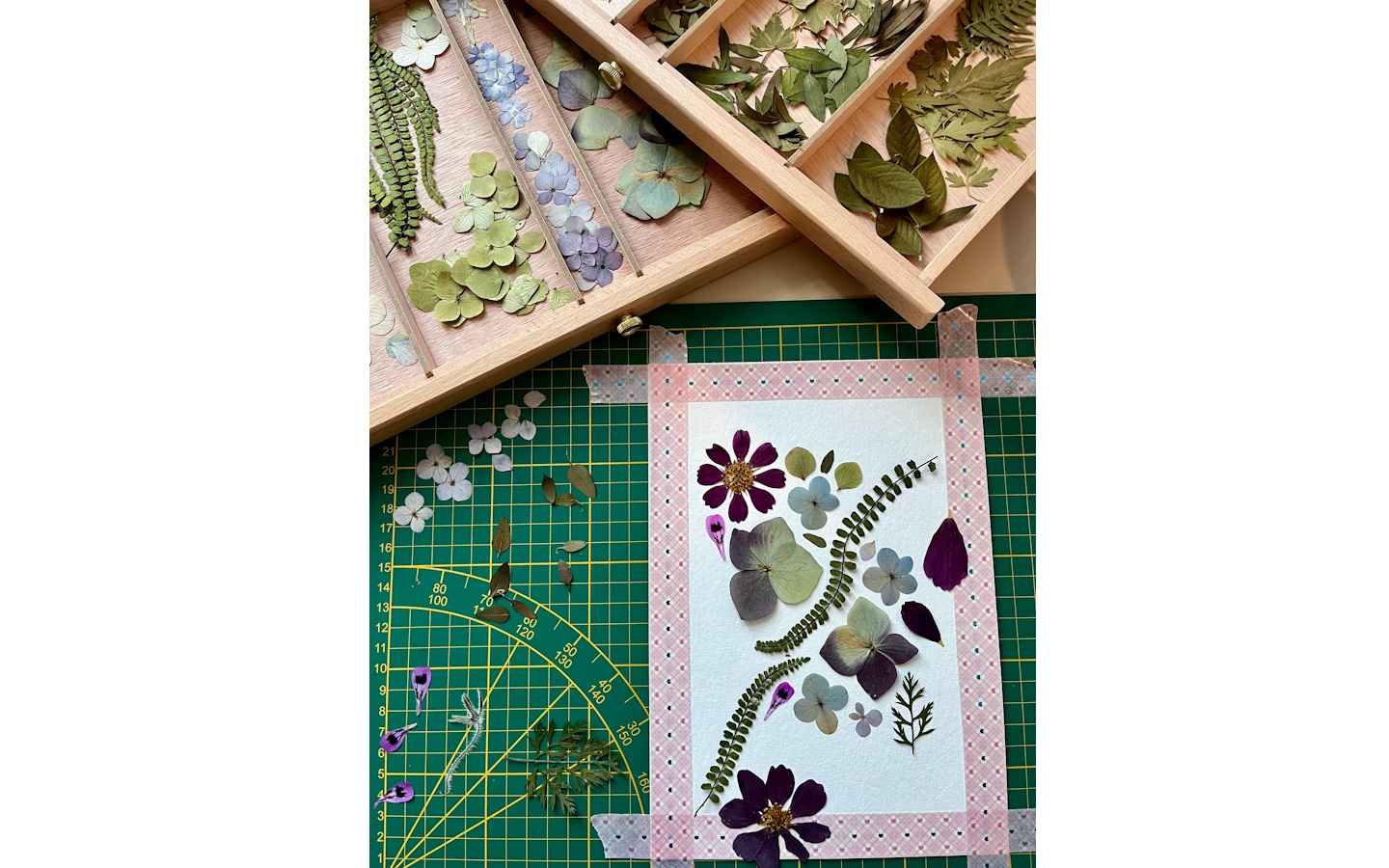 Ateliers Manufacture Pays Basque - Atelier Herbier — visuel événement