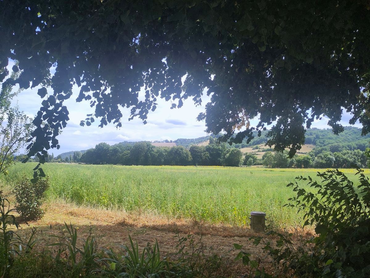 L'Herboristerie, Saint-Paul-de-Serre - photo 24