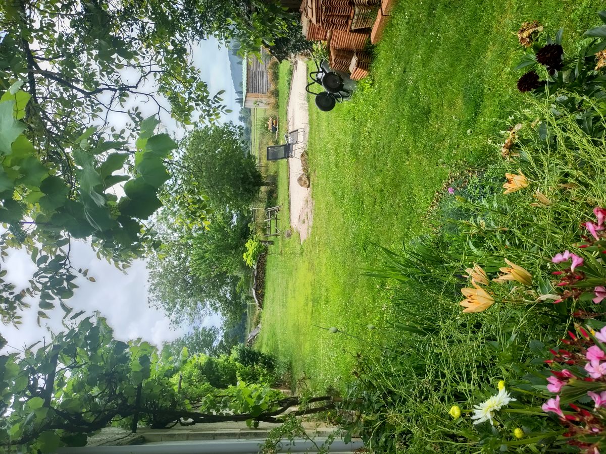 L'Herboristerie, Saint-Paul-de-Serre - photo 15