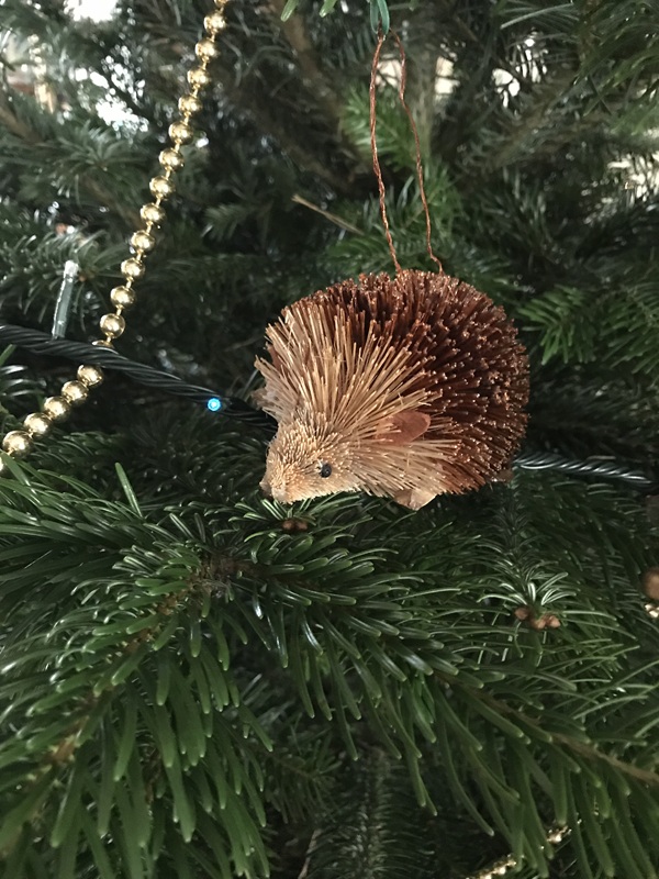 Les Fugues de Tosca, Pineuilh - photo 15