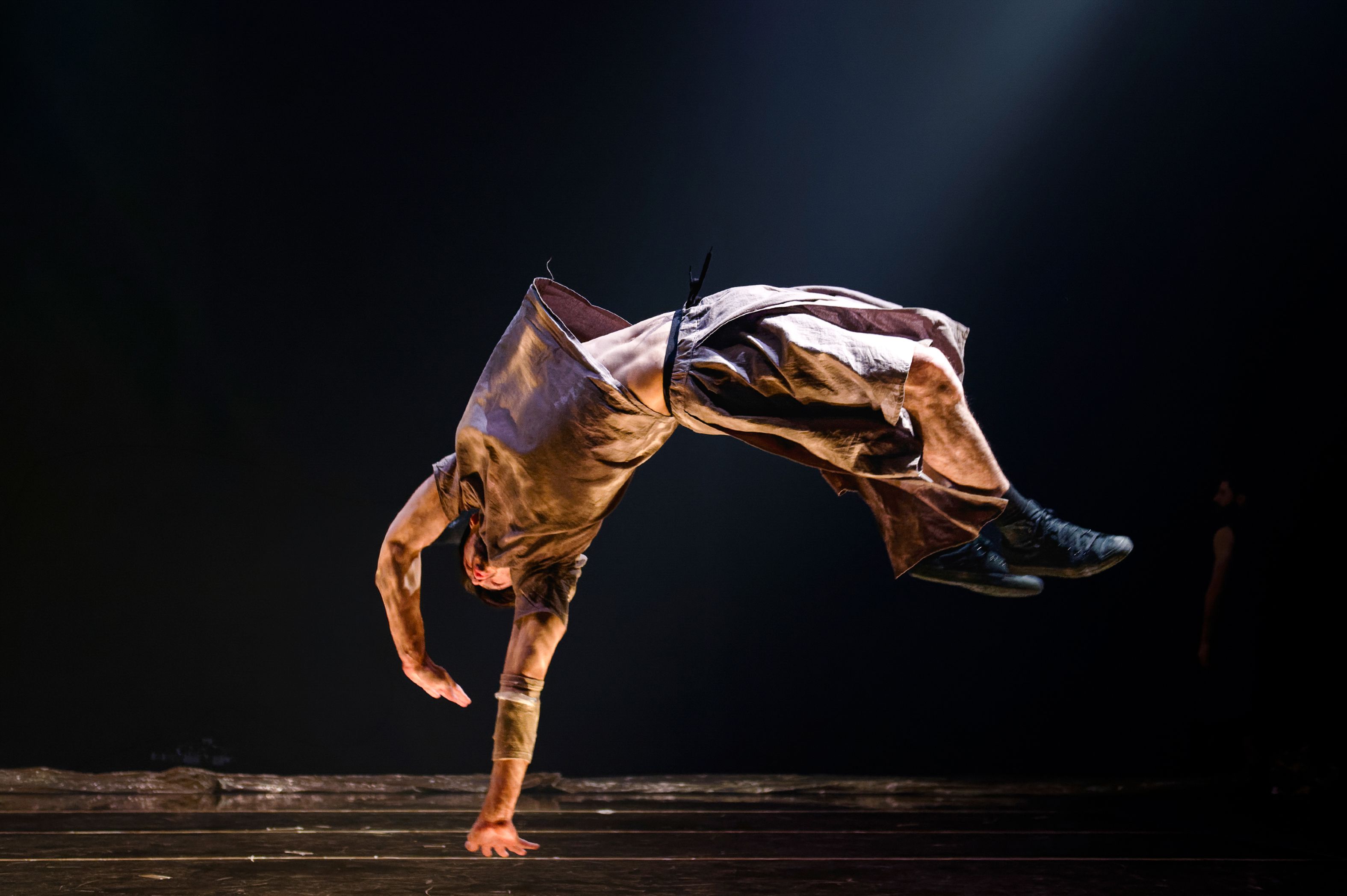 Le Temps d'Aimer la Danse 2026 - Compagnie Hervé Koubi - Sol Invictus — visuel événement