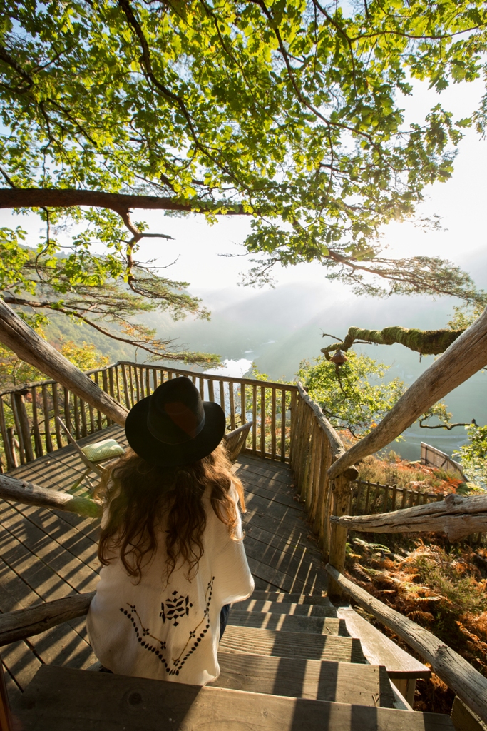 Hêtre sous le Charme, Saint-Martial-Entraygues - photo 6