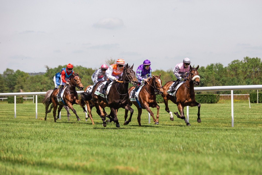 Hippodrome de la Roche-Posay