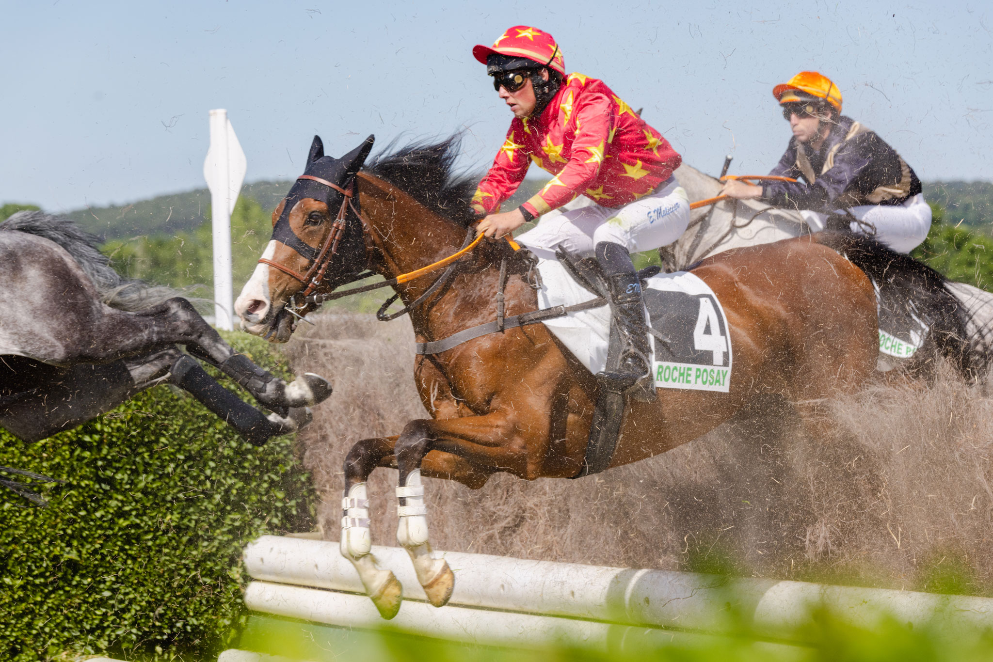 Hippodrome de la Roche-Posay