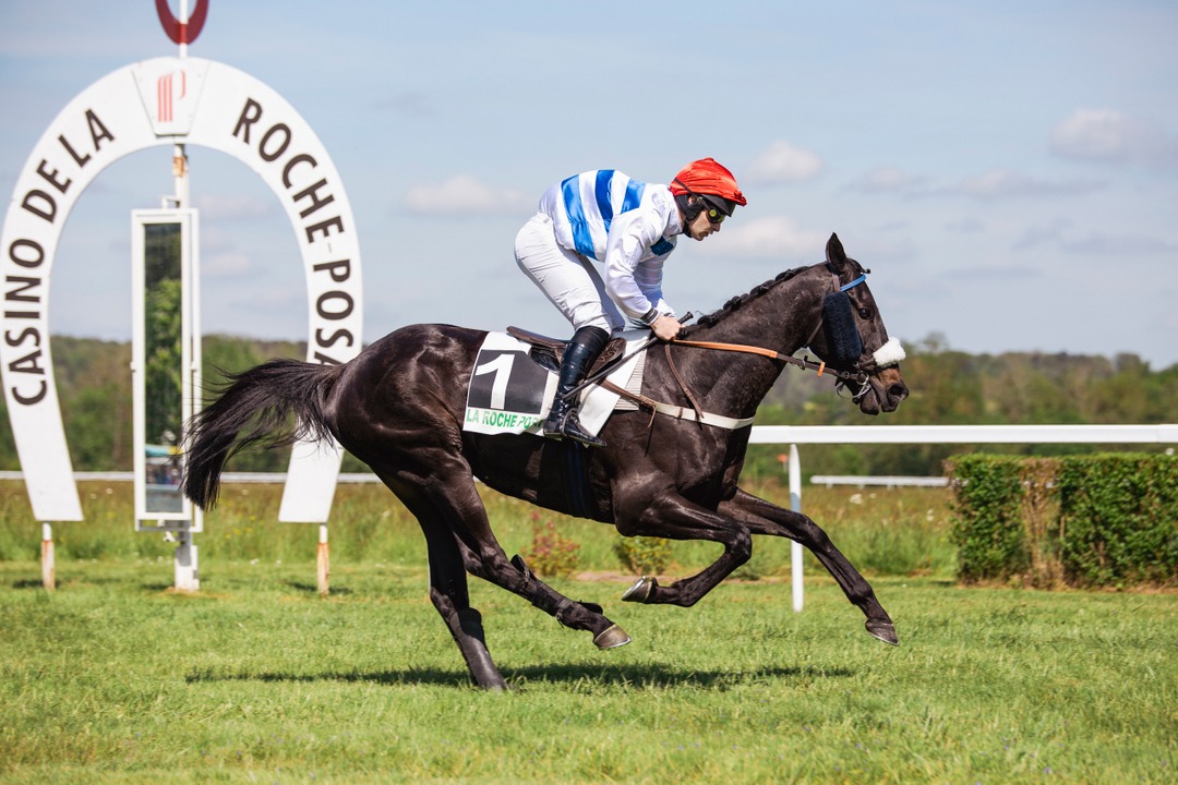 Hippodrome de la Roche-Posay - photo 3