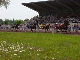 Hippodrome de Sarlande - Société des courses de Castillonnès - photo 3