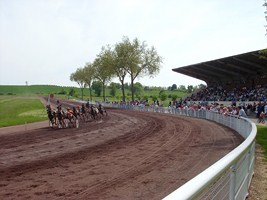 Hippodrome de Sarlande - Société des courses de Castillonnès - photo 2