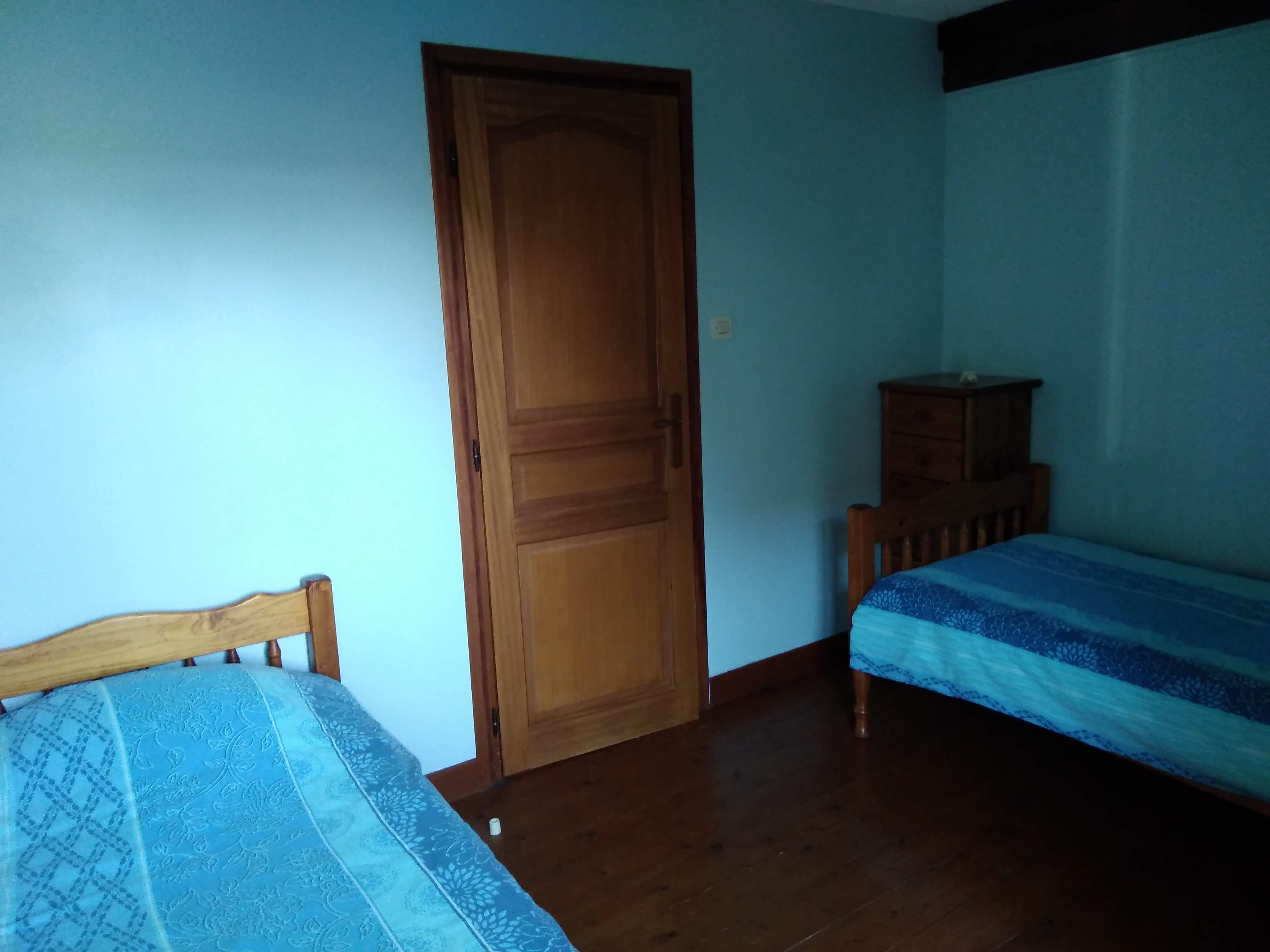 Hirondelle - photo 3