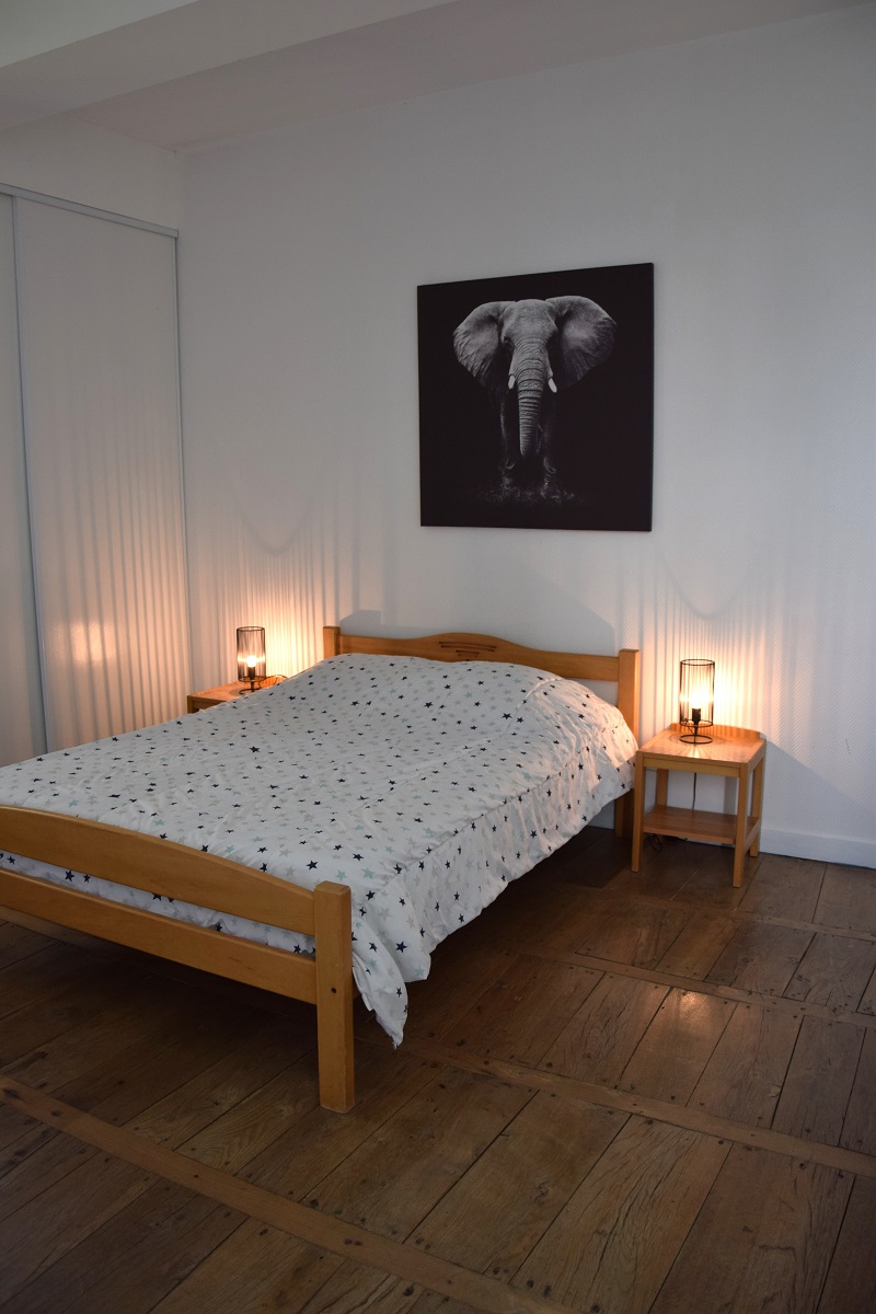 Les Hirondelles - Domaine des Chaulnes, Grignols - photo 16