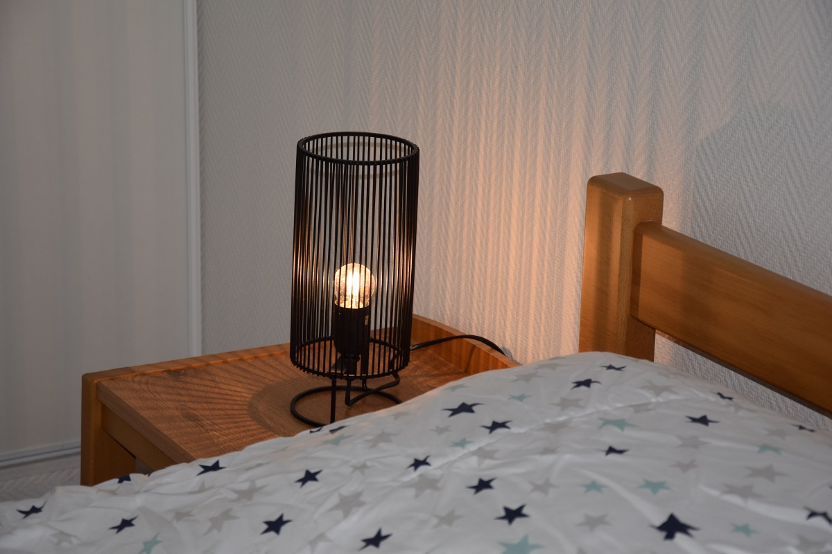 Les Hirondelles - Domaine des Chaulnes, Grignols - photo 9