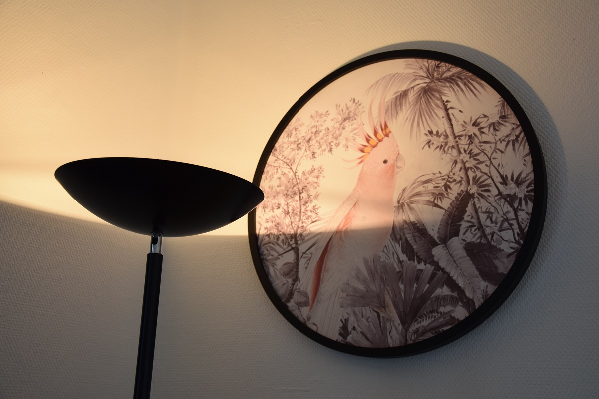 Les Hirondelles - Domaine des Chaulnes, Grignols - photo 14