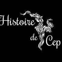 Histoire de Cep - photo 2