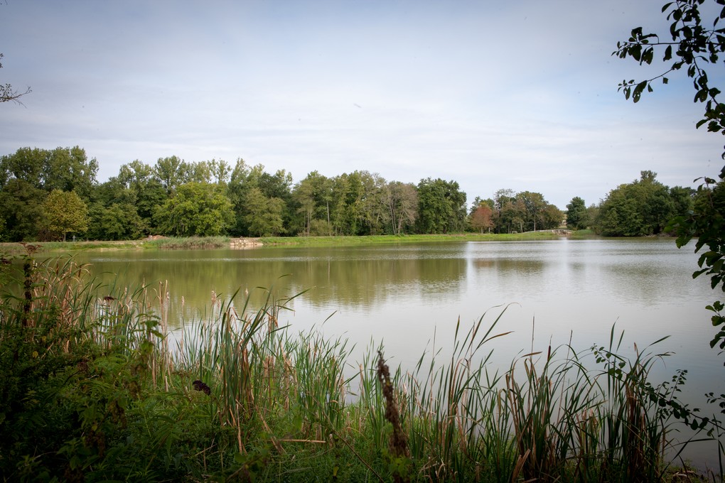 Grand Etang, Hontanx