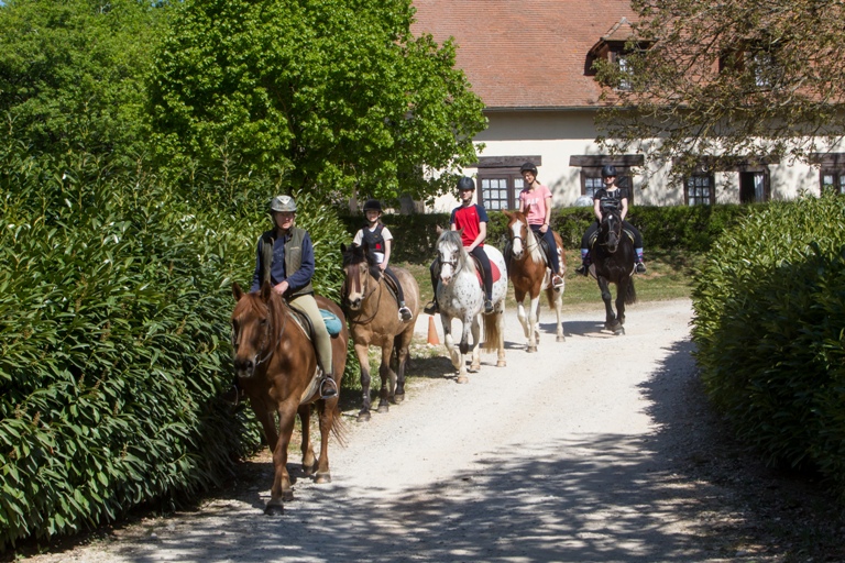Hôtel Domaine des Garennes, Nadaillac - photo 13