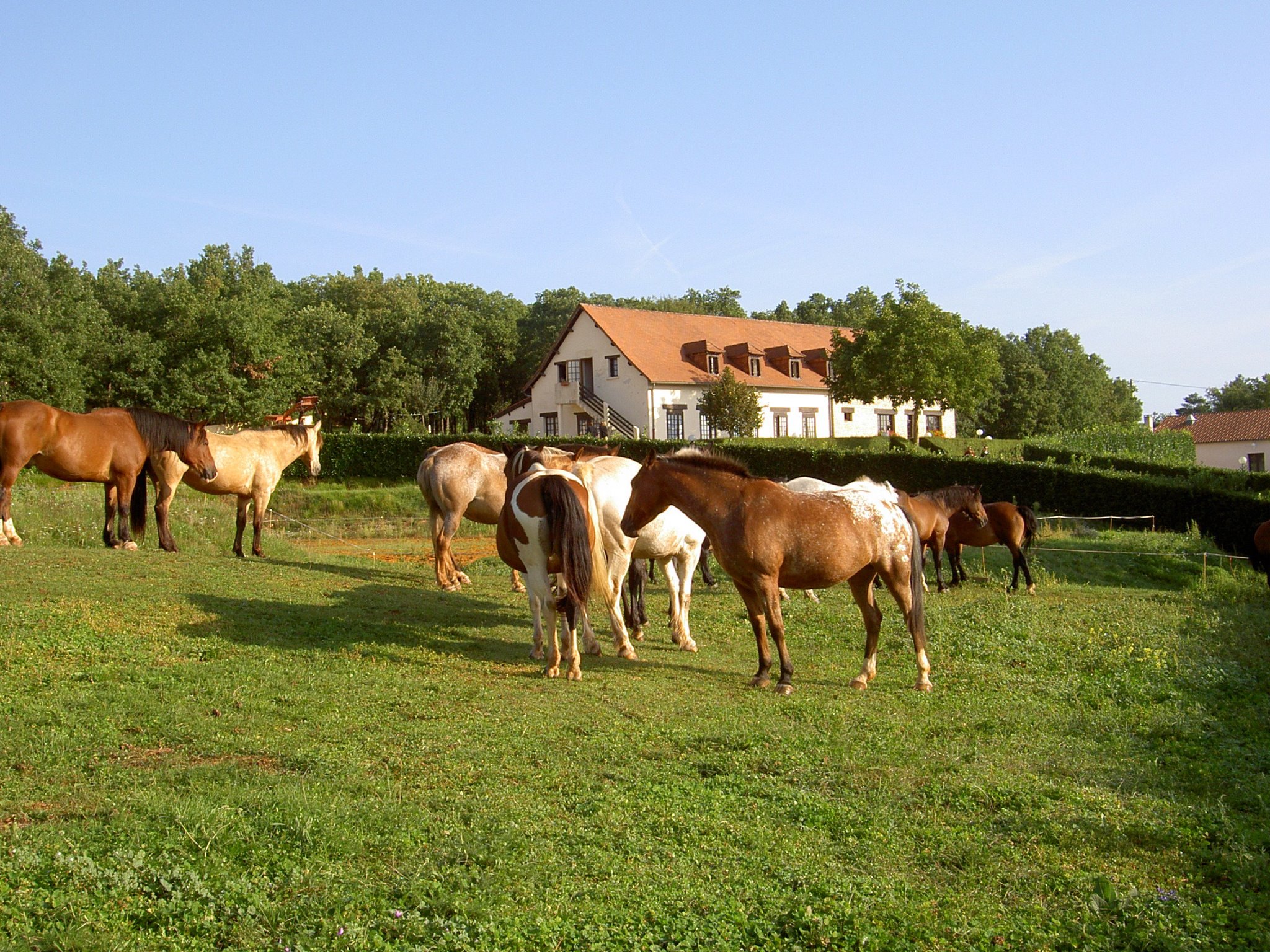Les Garennes - gîte pour 7 personnes, Nadaillac - photo 7