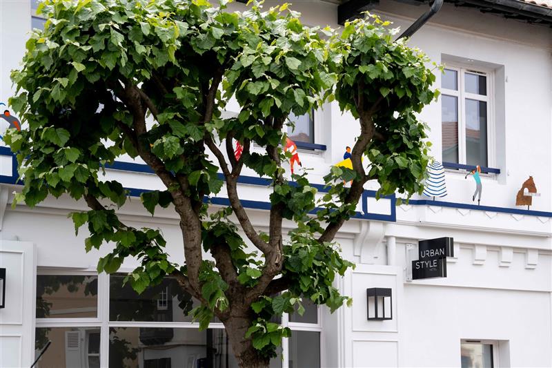 Urban Style Hôtel le Relais