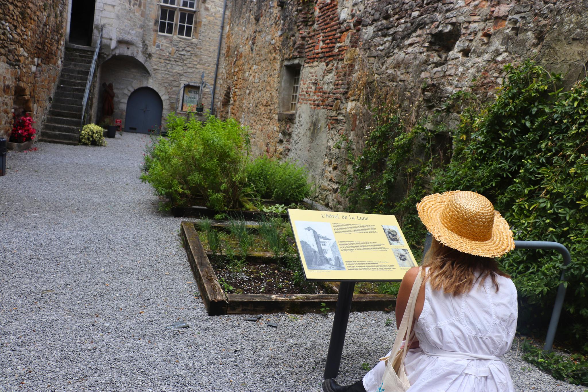 Hôtel de la Lune, Orthez - photo 8