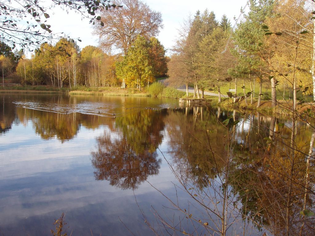 Hôtel Restaurant Ibis