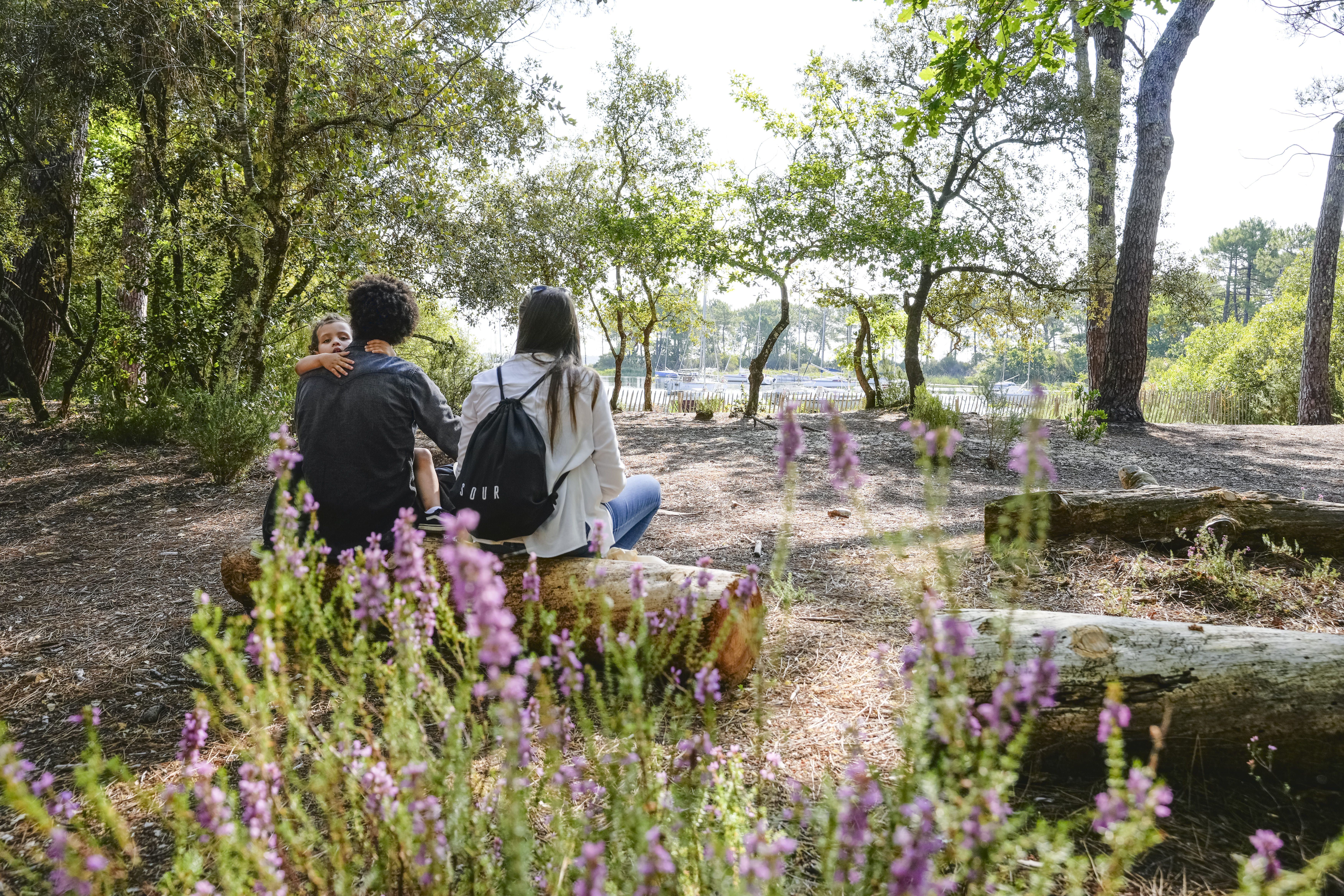 Réserve naturelle des Dunes et Marais d'Hourtin