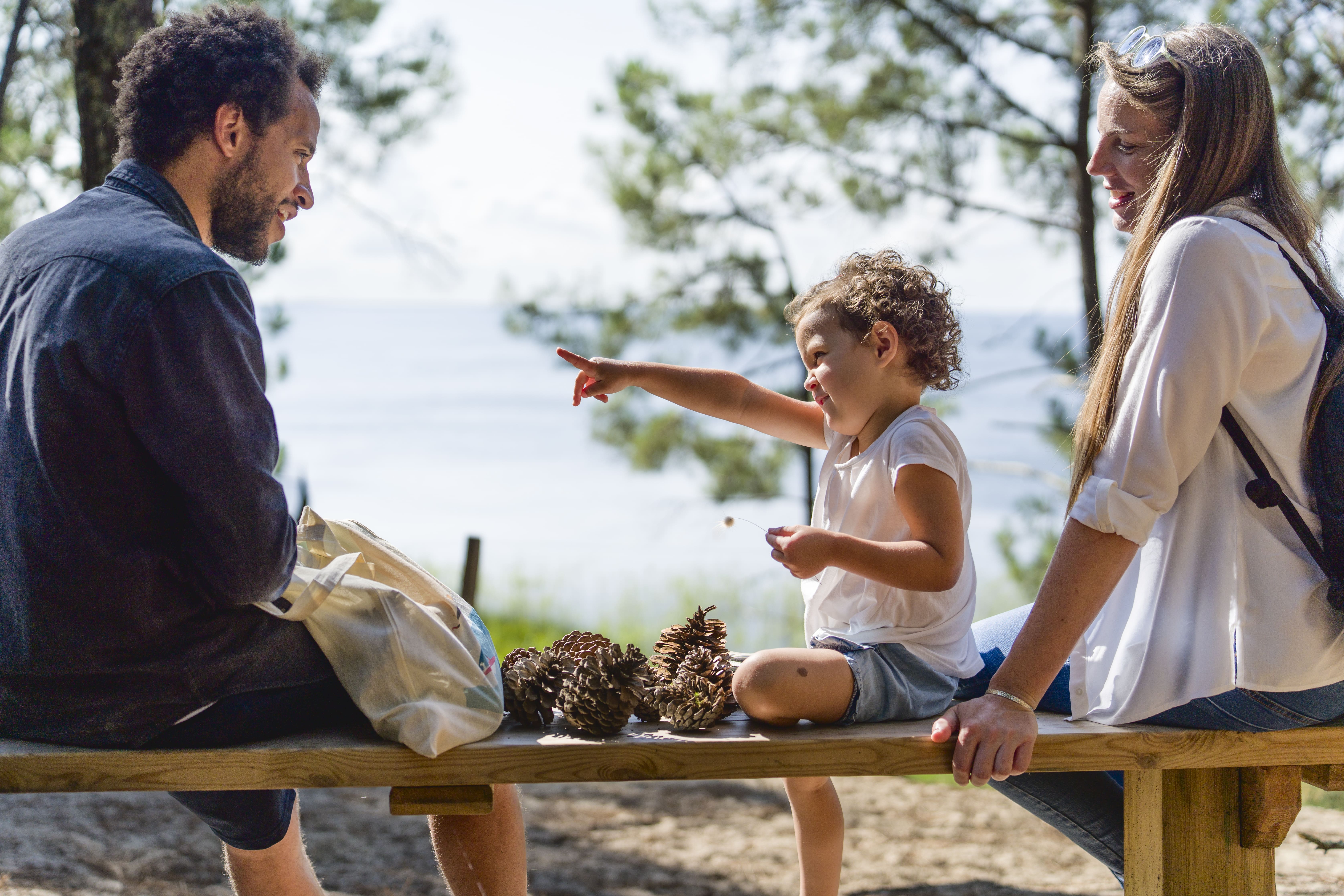 Réserve naturelle des Dunes et Marais d'Hourtin, Hourtin - photo 4