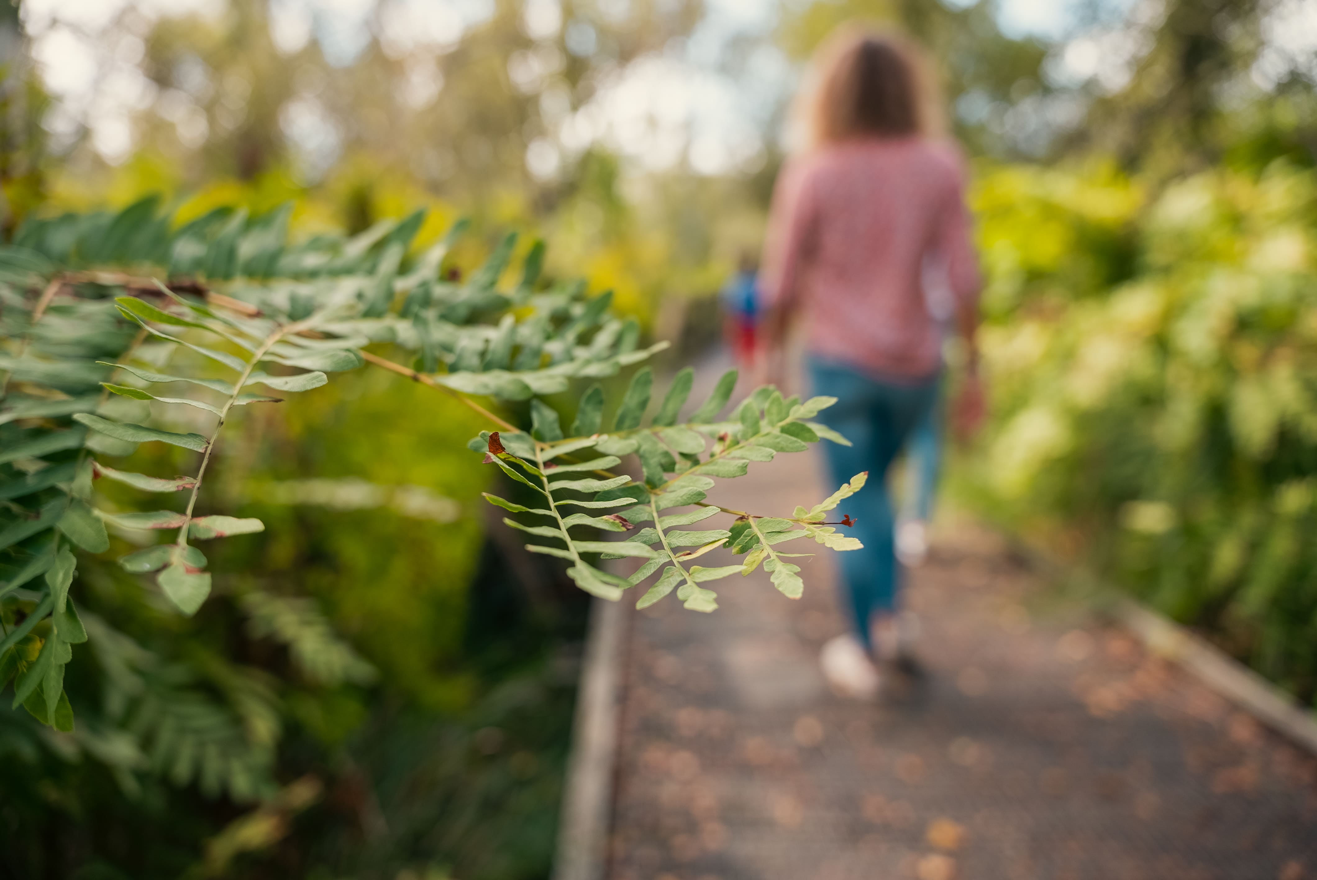 Lagune de Contaut, Hourtin - photo 3