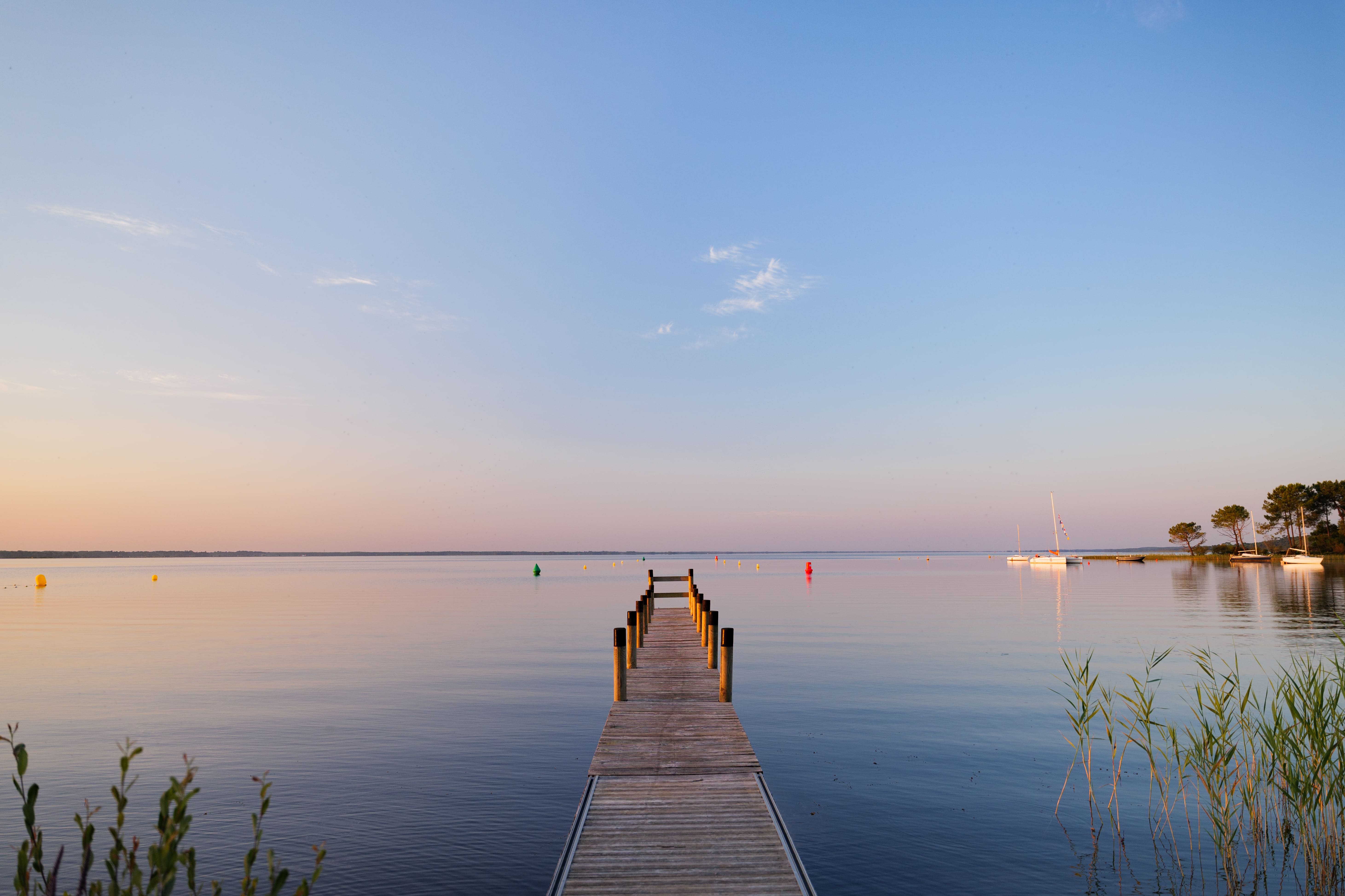 Réserve naturelle des Dunes et Marais d'Hourtin, Hourtin - photo 3