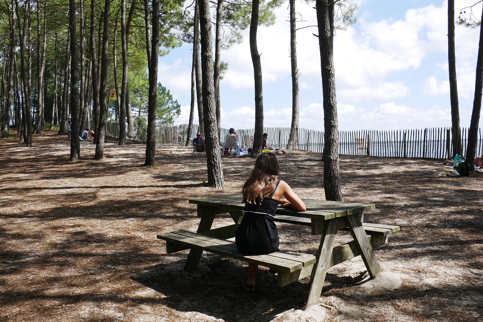 Aire de Pique-Nique de Hourtin-Piqueyrot