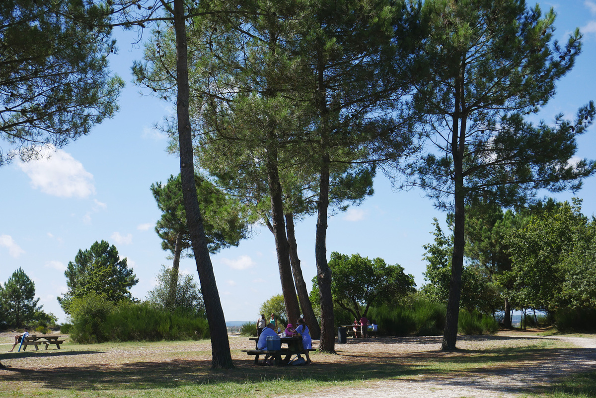 Aire de pique-nique et halte de repos vélo Hourtin-Port - photo 2