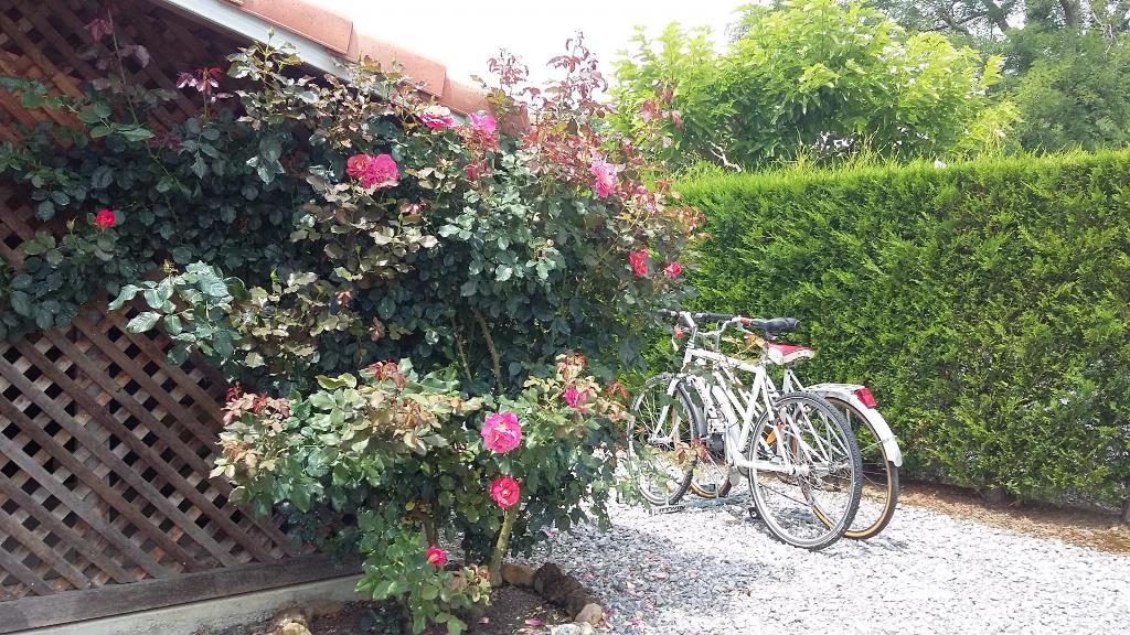 Maison Lartigaou, Hauriet - photo 10