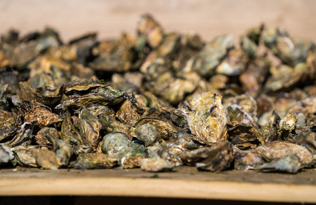 ALEXANDRE CHARPENTIER