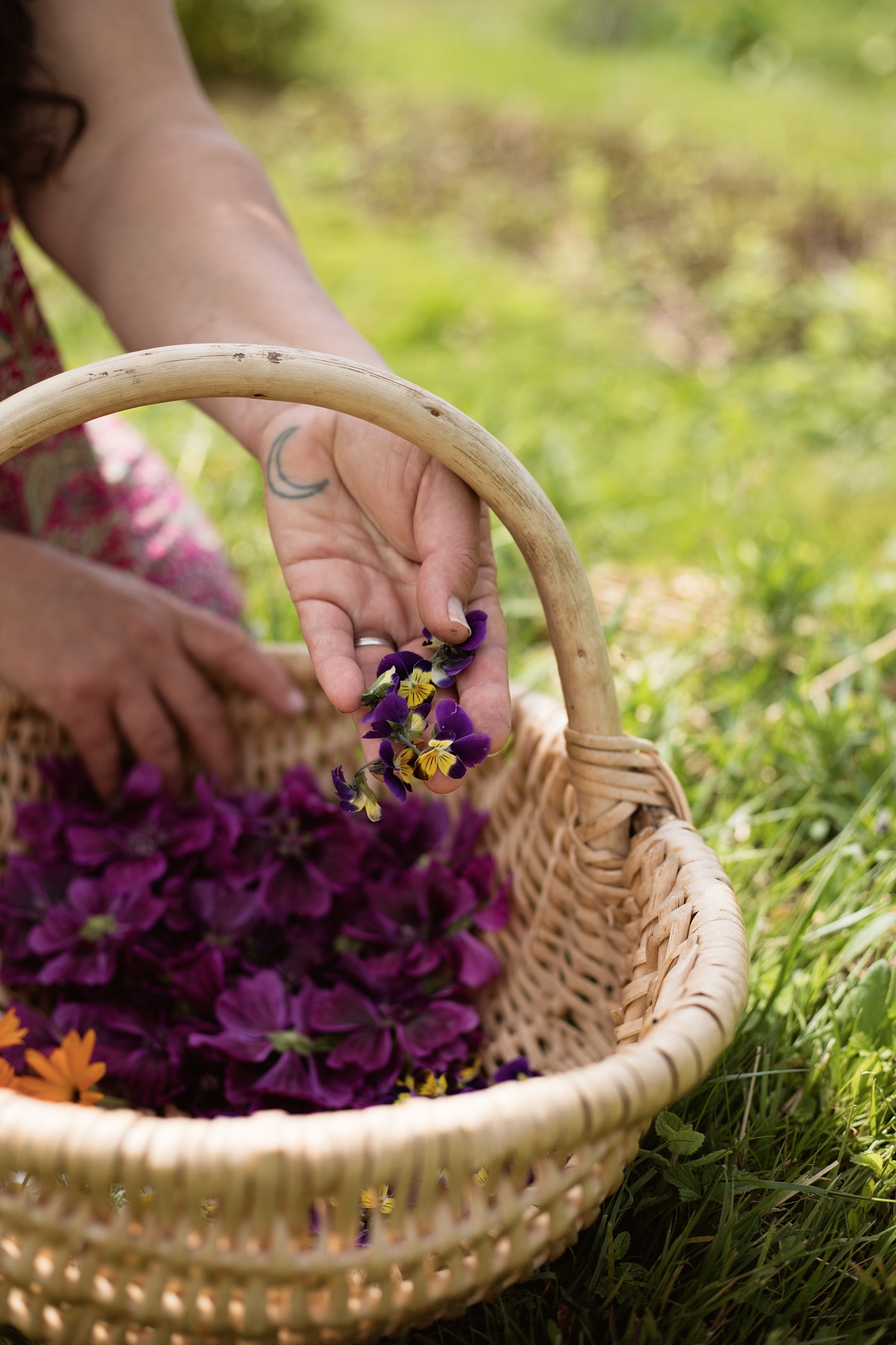 Les Simples Sauvages