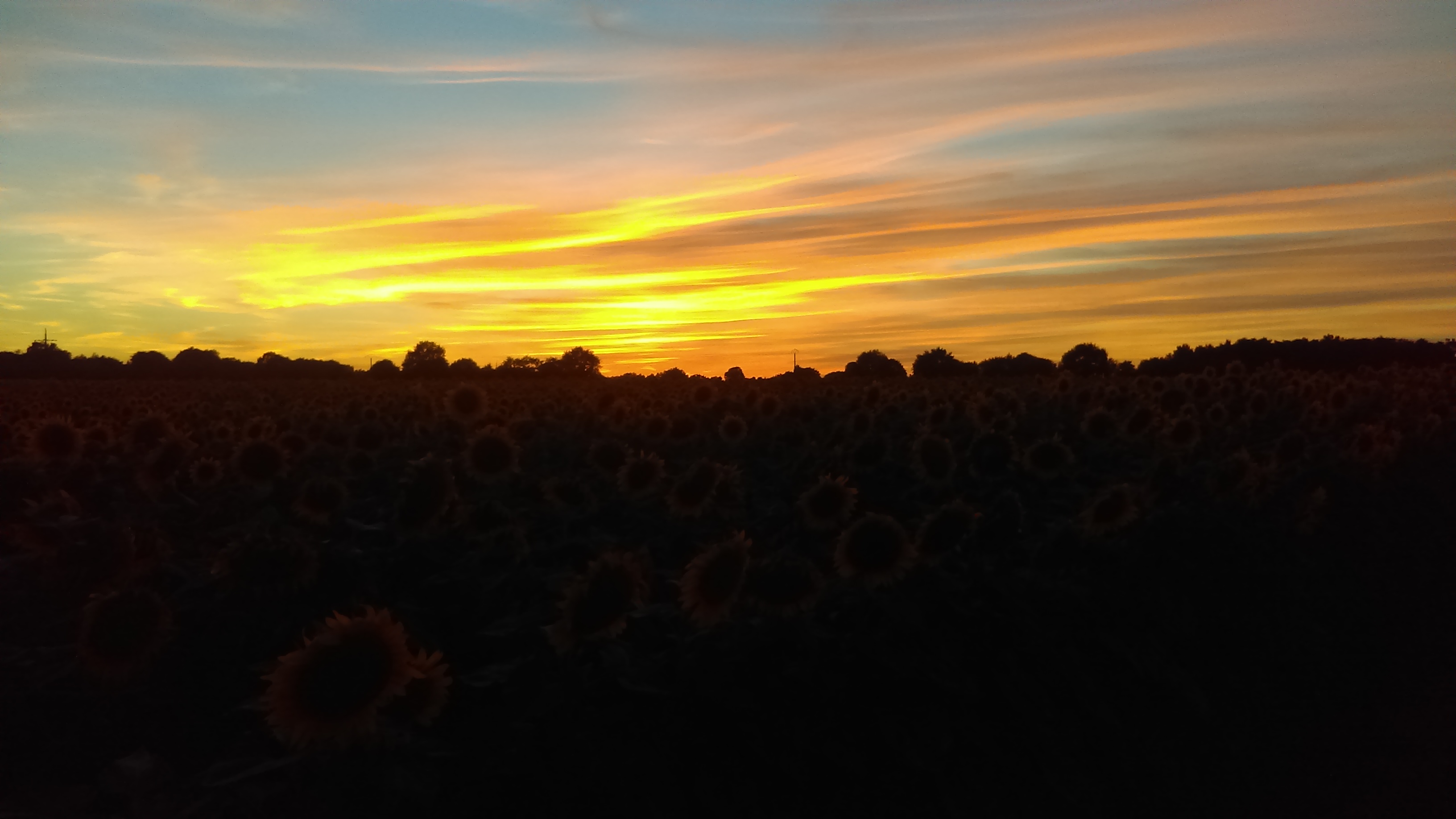 Gîte de la Grimolle 2, Valence-en-Poitou - photo 8