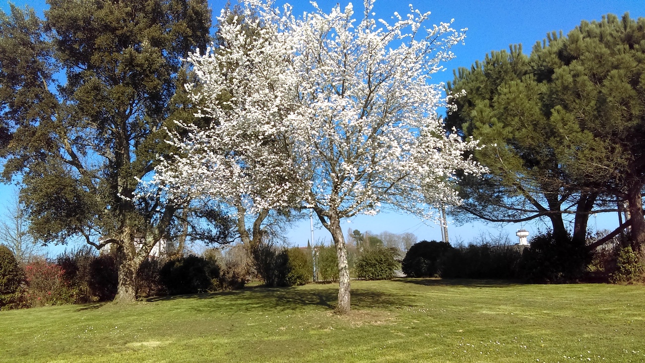 Gîte les Tamaris, Saint-Pierre-de-Buzet - photo 10
