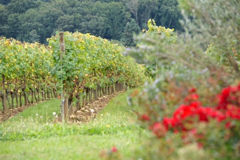 Domaine Mont d'Oraàs