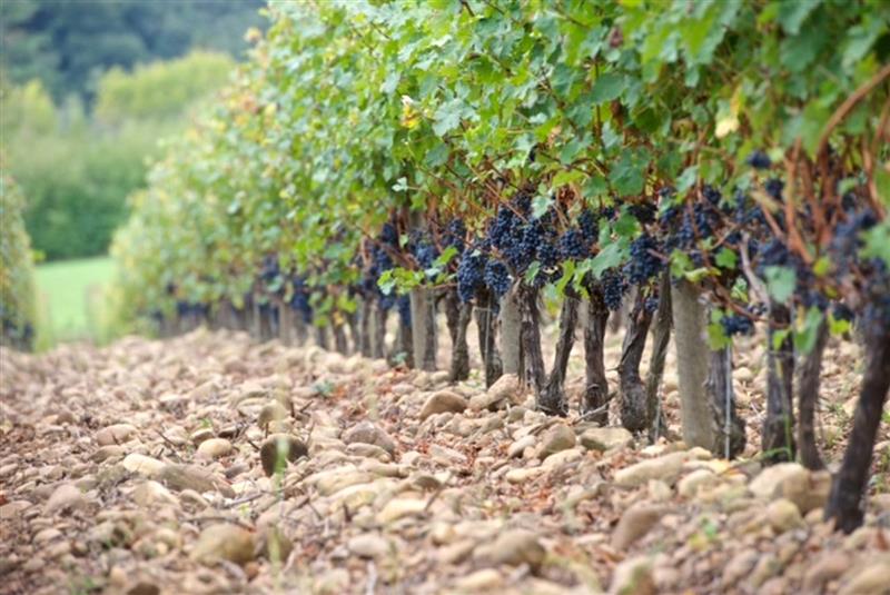Domaine Mont d'Oraàs