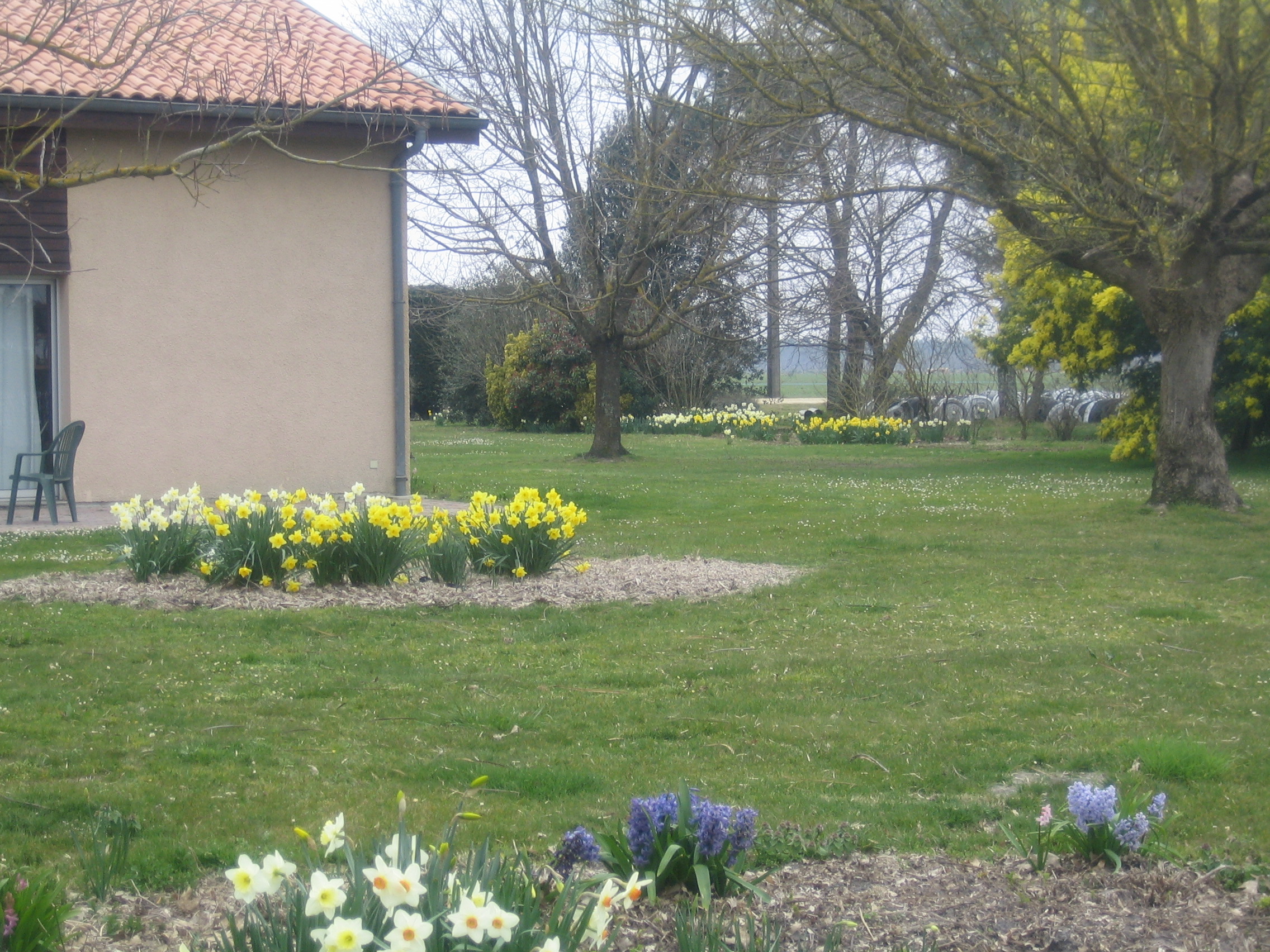 Petit Bonnan, Onesse-Laharie - photo 4