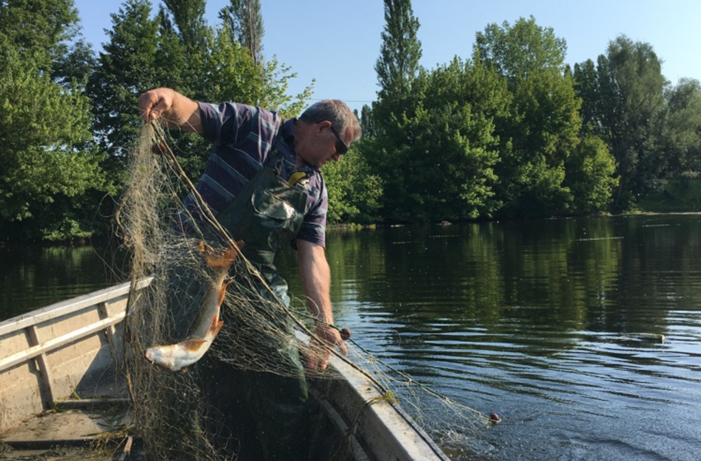 L'Échappée du pêcheur, Trémolat - photo 5