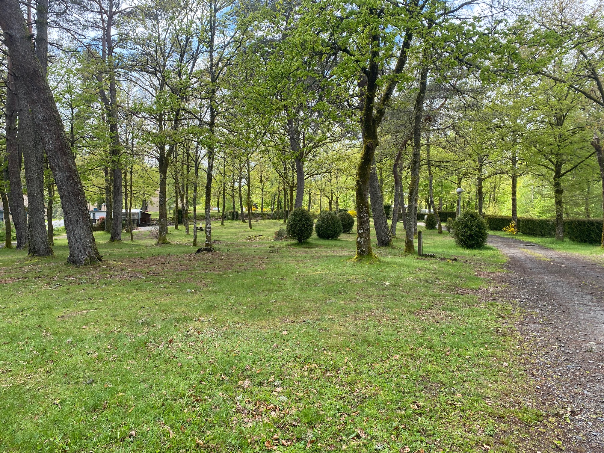 Camping au coeur du parc - photo 3