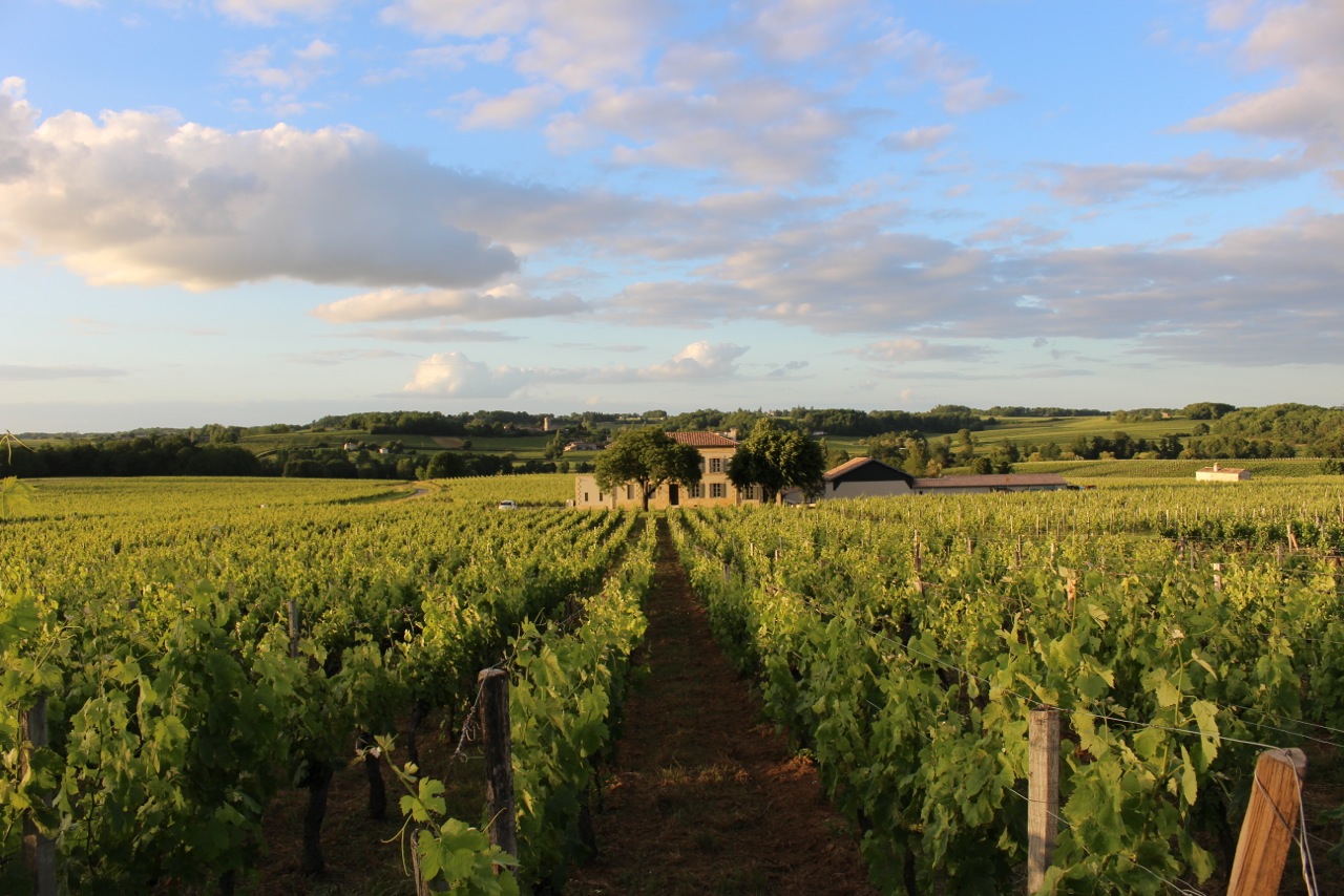 Château Grangey — photo 2