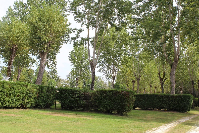 Camping de l'Etang bleu - photo 3