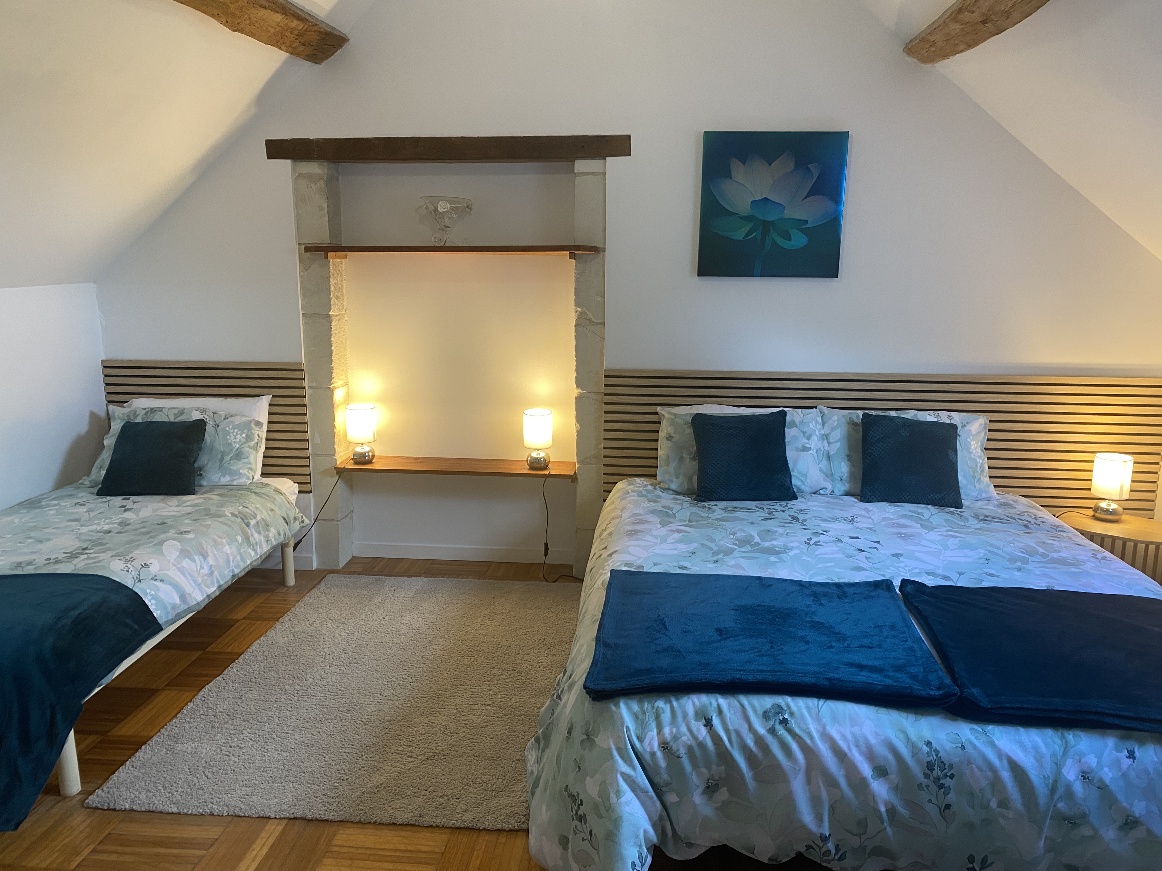 Les Vieux Chênes - Gîte Chinon, Oyré - photo 3