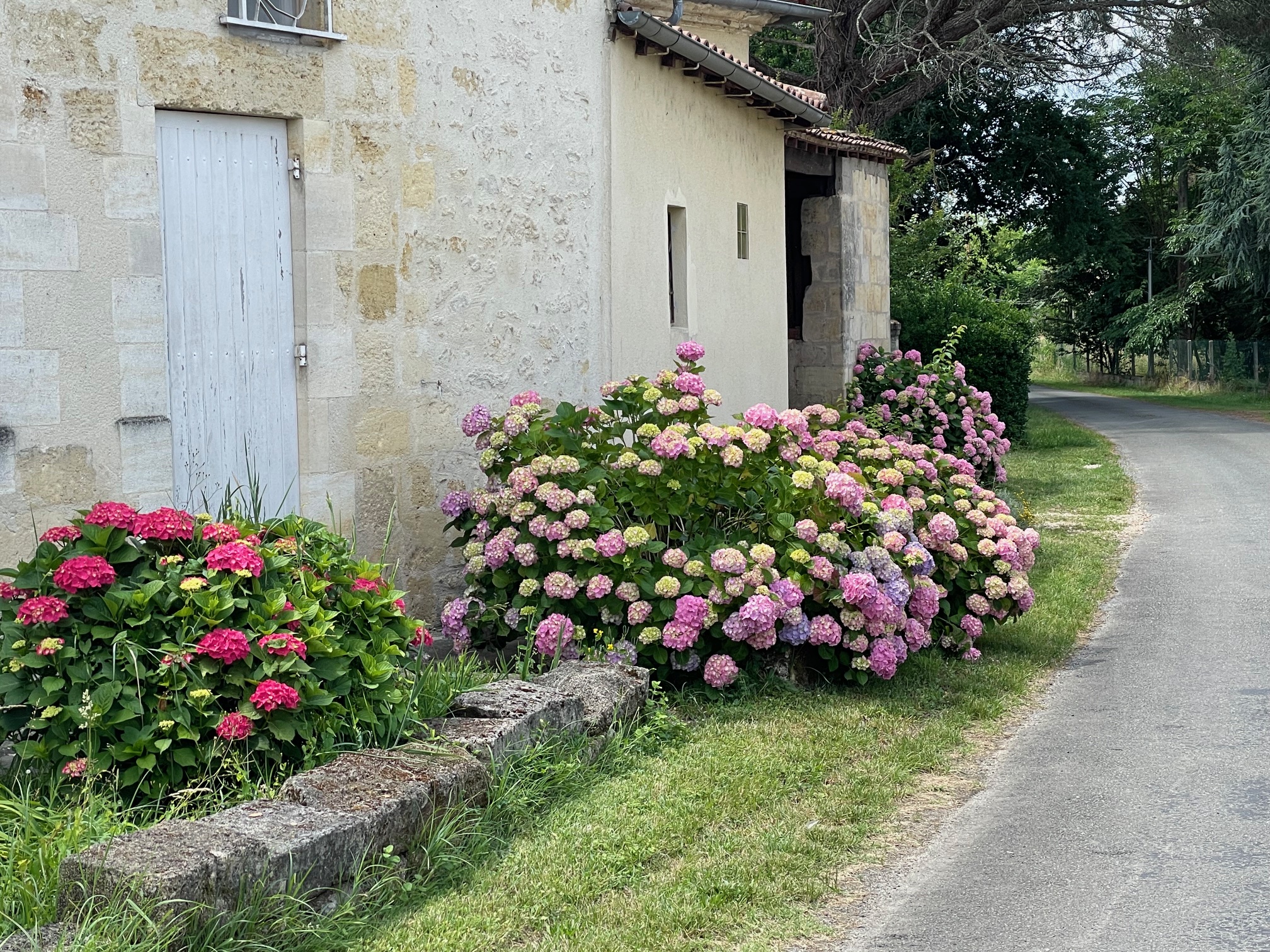 Cinégîte du jardin aux étoiles, Saint-Pey-de-Castets - photo 8