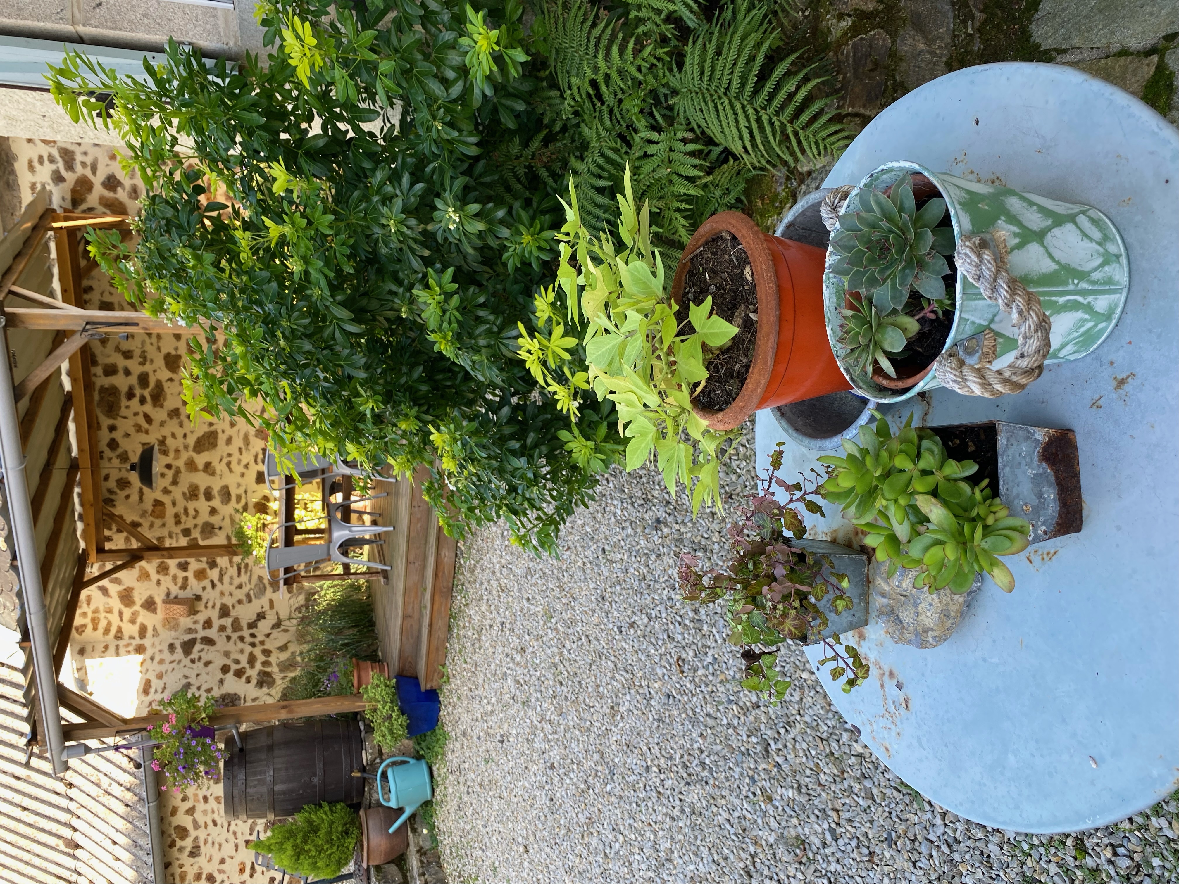 Maison Maitri - photo 2