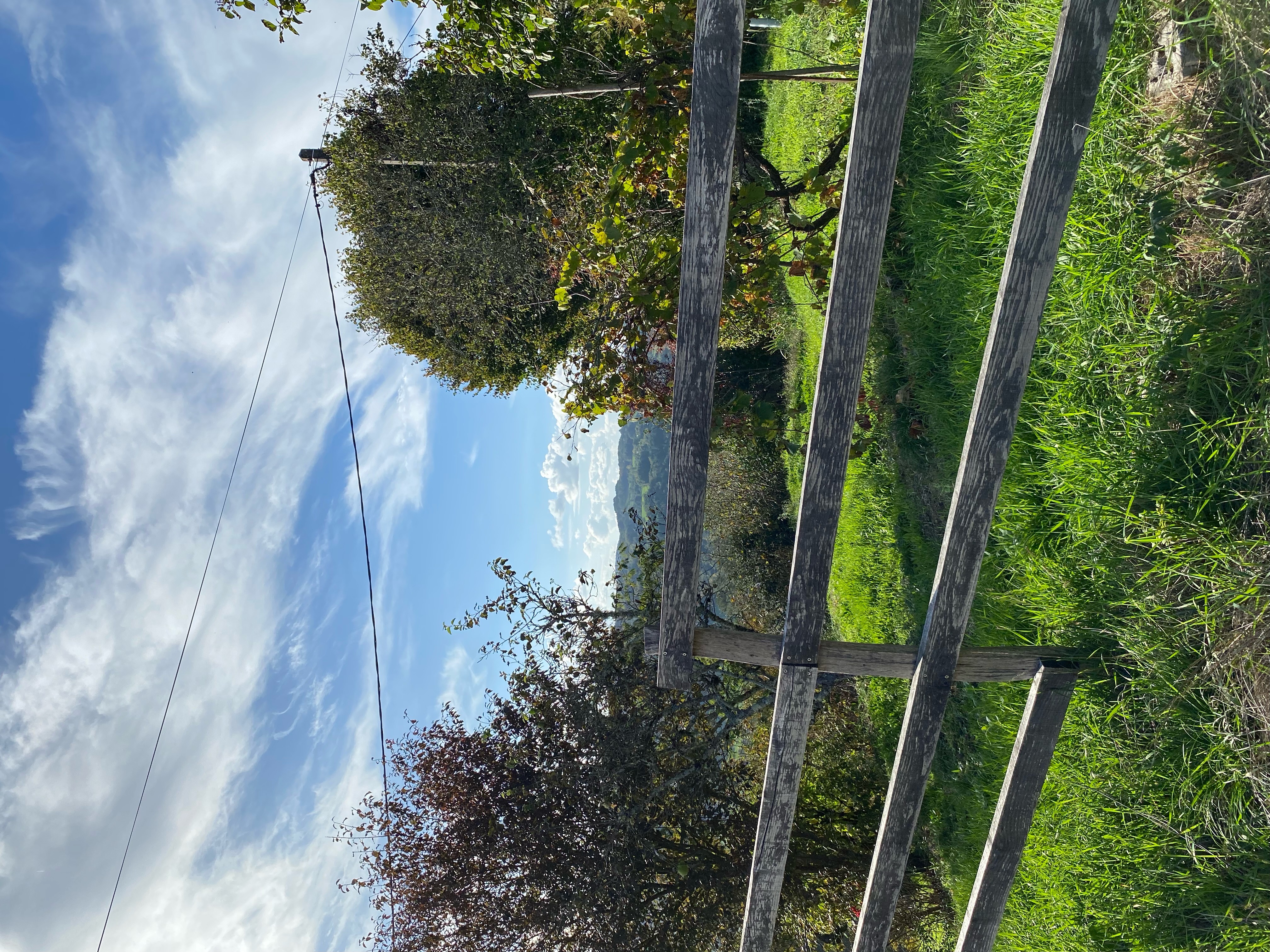 Maison Maitri, Forgès - photo 14