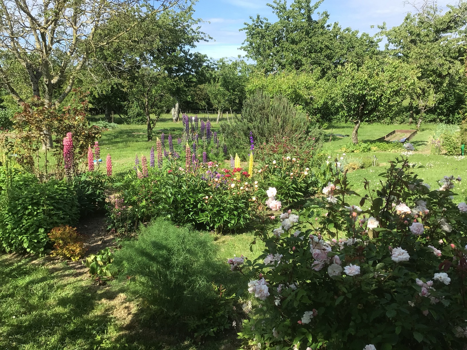 Bienvenue à La Coussaie, Beaulieu-sous-Parthenay - photo 8