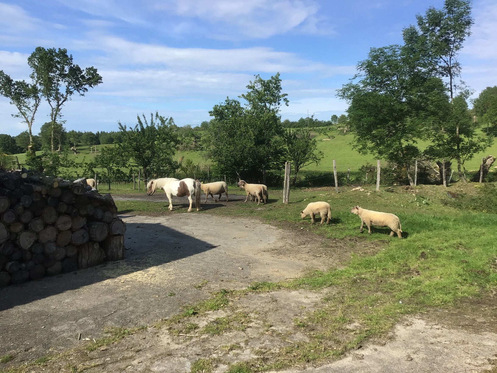 Bienvenue à La Coussaie, Beaulieu-sous-Parthenay - photo 9
