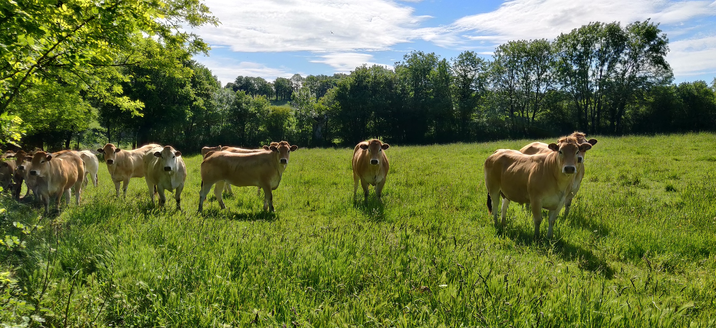 Bienvenue à La Coussaie - photo 5
